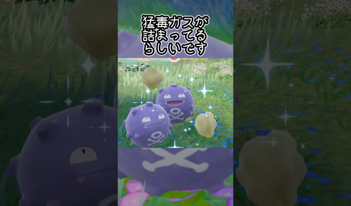 ドガース6匹とピクニック【ポケモンSV】#Shorts
