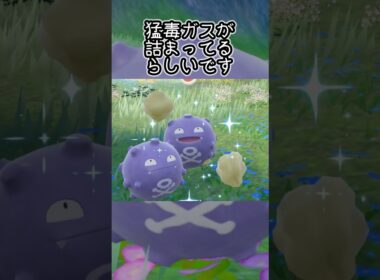 ドガース6匹とピクニック【ポケモンSV】#Shorts