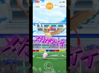 【ポケモンGO】可愛いは正義！メガディアンシーだけでメガピジョットレイドをソロ攻略！ #ポケモンgo #ポケモン #Shorts