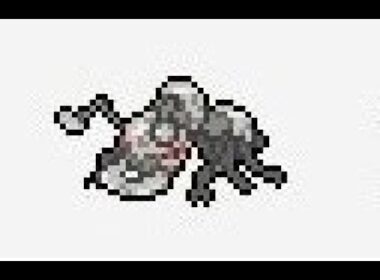 【ポケモン剣盾】アイアントがいれば3タテできる！【なまけアイアント】