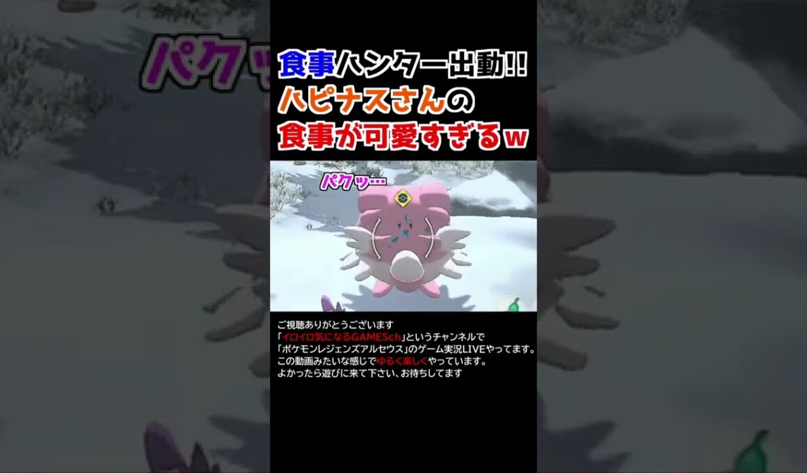 ハピナスさんの「食事」が可愛すぎるww【Pokémon LEGENDS アルセウス】【食事ハンター】