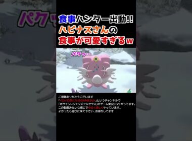 ハピナスさんの「食事」が可愛すぎるww【Pokémon LEGENDS アルセウス】【食事ハンター】