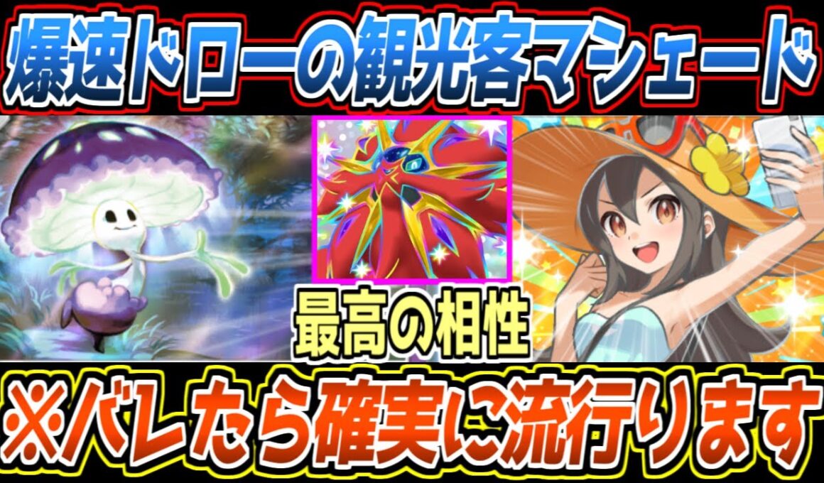 【ポケポケ】まだバレてない観光客構築。最速マシェードからデッキ圧縮し、鳥で止まらないソルガレオ×2展開が最強でした【デッキ紹介/Pokémon Trading Card Game Pocket】