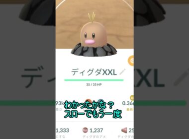 アローラディグダの小ネタ　＃short ＃ポケモン ＃ポケモンGO ＃pokemonGO ＃pokemon＃ボイスロイド ＃琴葉 ＃ゆっくり＃ショート