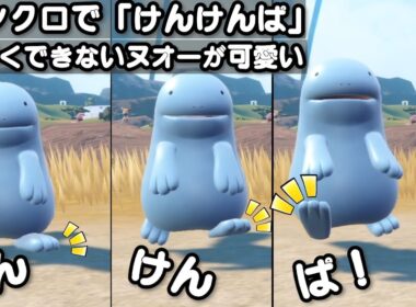 シンクロで「けんけんぱ」上手くできないヌオーが可愛い【ポケモンSV】