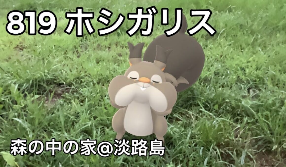 【ポケGO動くポケモンずかん】819ホシガリス｜Skwovet｜第８世代｜AR動画｜PoKeMoN GO AR