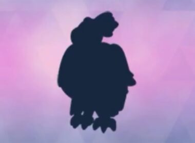 ★6レイド振り返り - バルジーナ【ポケモンSV】