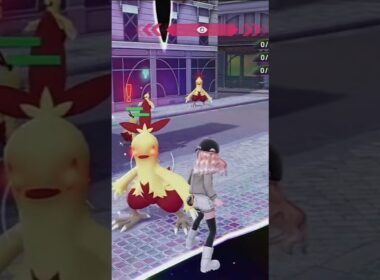 親分色ワカシャモ！ #配布 #ポケモンza #ポケモン #pokemon