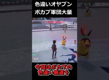 色違いオヤブンポカブ軍団大量発生!! #ポケモンレジェンズZA  #shorts #switch2 #M次元ラッシュ