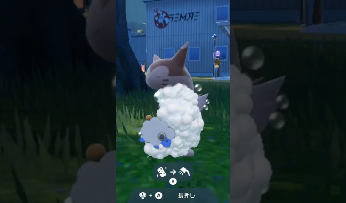 オオタチ Furret【ポケモンsv】