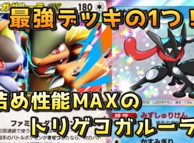 ピチューオドリドリゲッコウガメガガルーラ！トリゲコの詰め性能とメガガルーラのパワーを併せ持つ！！