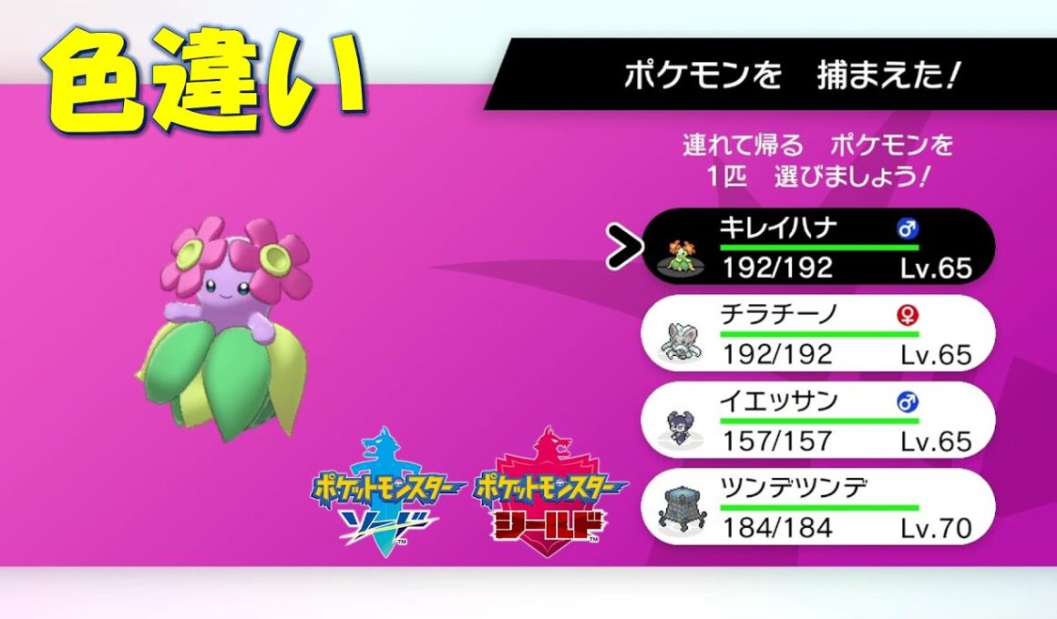 【色違い】ポケモンソードシールド『キレイハナ』ダイマックスアドベンチャー #shorts