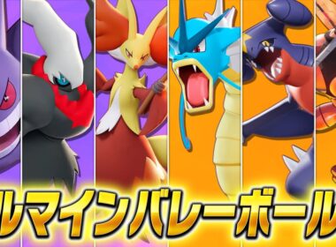 セオリーガン無視の最強戦術 マルマインバレーボール杯#1 【ポケモンユナイト】