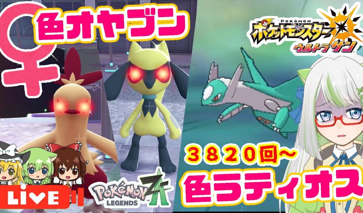 ZA♀色オヤブンワカシャモ＆リオルをホロベーター厳選してる間に、ドロ沼ってるUSUMラティオス厳選！今日こそ光って！！😭【ポケモン実況】 #ポケモン #色違い