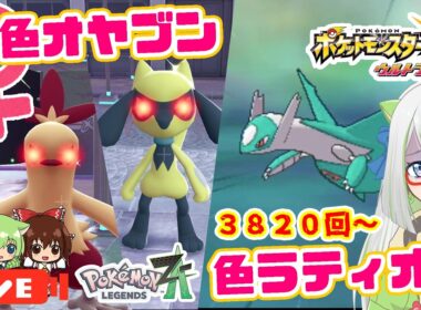 ZA♀色オヤブンワカシャモ＆リオルをホロベーター厳選してる間に、ドロ沼ってるUSUMラティオス厳選！今日こそ光って！！😭【ポケモン実況】 #ポケモン #色違い