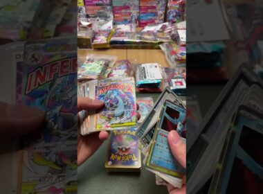 メガリザードンMA祭り＃ポケモン