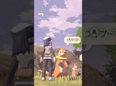 ポケモンアルセウス【ブイゼルの背比べ】