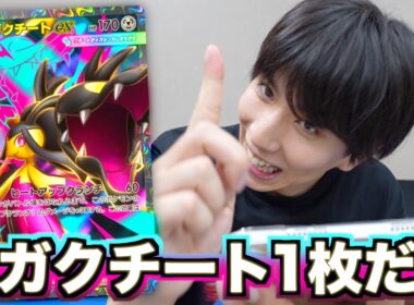 メガクチート１枚だけ