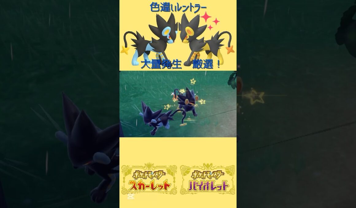 色違いレントラー出現🦁大量発生 #ポケモンsv #色違いポケモン #レントラー #pokemon #Luxray #shinypokemon