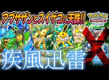 【ポケポケ｜デッキ紹介】アブサザンとスイゲコに天誅!! 疾風迅雷 - リーフィア&サンダース&オーガポン&オドリドリ（Pokémon TCG Pocket）