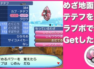 【ポケモンUSUM】A抜けめざ地面カプ・テテフをラブボでGetの瞬間