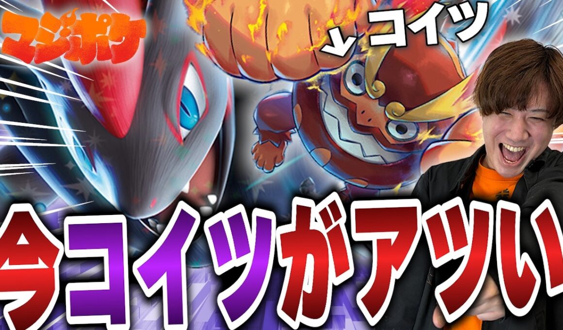 【ポケカ/対戦】今こそヒヒダルマ採用がアツい‼Nのゾロアークが再び環境に舞い戻る!?【VSドラパルト】