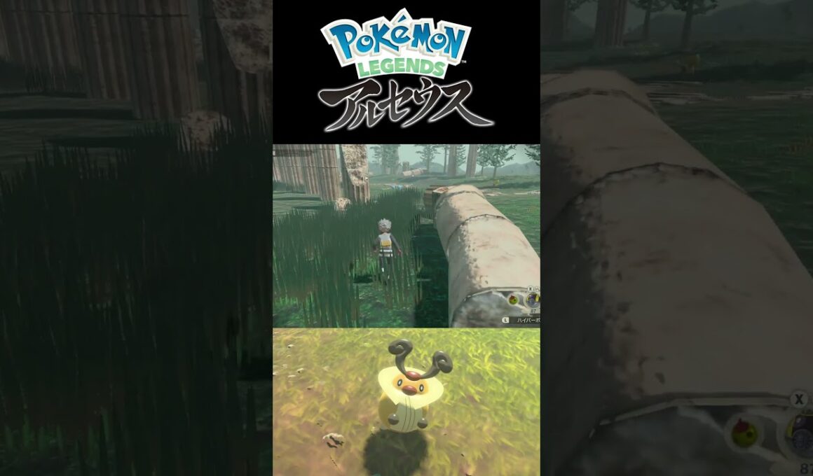 レジェアルで色違いコロボーシをゲット！【Pokémon LEGENDS アルセウス】 #shorts