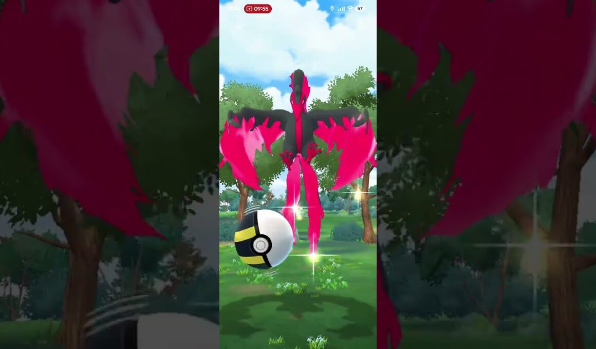 【ポケモンGO】ガラルファイヤー捕獲④ #ポケモンgo #ガラル3鳥 #おさんぽおこう