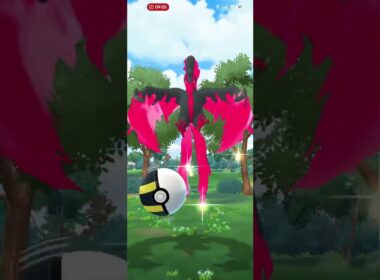 【ポケモンGO】ガラルファイヤー捕獲④ #ポケモンgo #ガラル3鳥 #おさんぽおこう