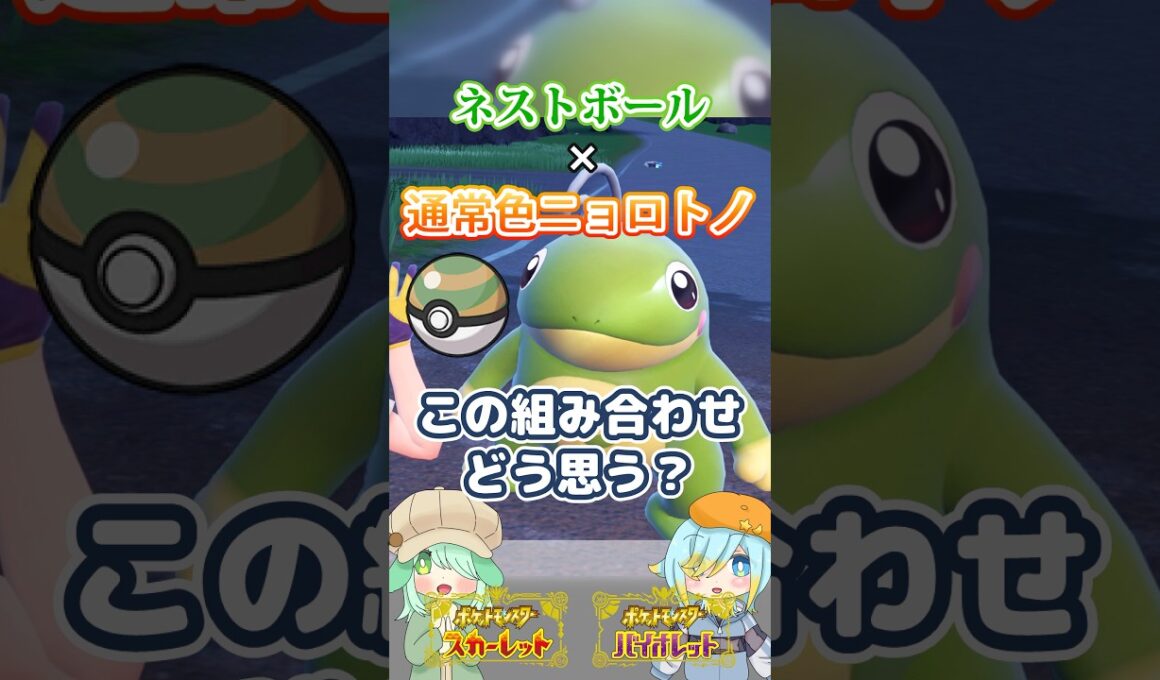 【オシャボ】ネストボール × 通常色ニョロトノ、これってアリ？【ポケモンSV】｜Oshabo Selection