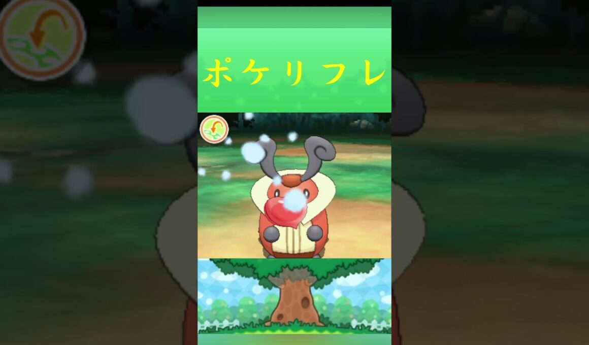 ポケモン コロボーシ ポケリフレ ポケパルレ #ポケモン #Pokemon  #3DS #ポケモン技 #ポケモンsv #ポケモン #ふれあい #キャンプ #カレー #サンドイッチ #ピクニック