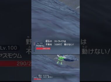 体力満タンなのに大ピンチな コスモウム #shorts #ポケモンsv #碧の仮面 #碧の円盤