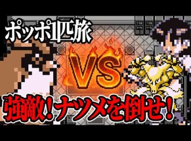 #16【ポケモン青】ナツメにポッポだけで挑戦した結果…！？【ポッポ1匹旅】
