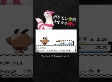 【ポケモン金銀】ワンリキーに6タテされる漢。【オオタチ縛り旅。生放送／切り抜き】