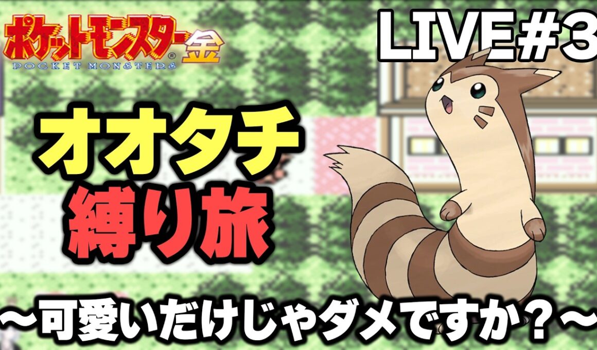 【ポケモン金銀】オオタチ縛り旅。可愛いだけじゃダメですか？【生放送part3】