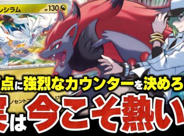 ドラパルトやオーロンゲに強烈なカウンターを決めろ！！今こそ『Nのゾロアークex』が熱い！！【ポケカ/ポケモンカード】【対戦】