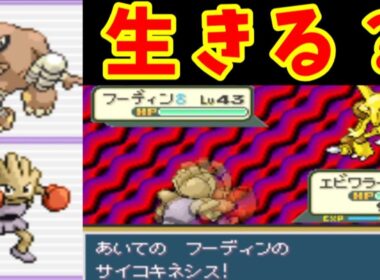 【修行編】エビワラーサワムラーの二人旅！協力してナツメを倒すんだ！！【ゆっくり実況】【ポケモンFR】