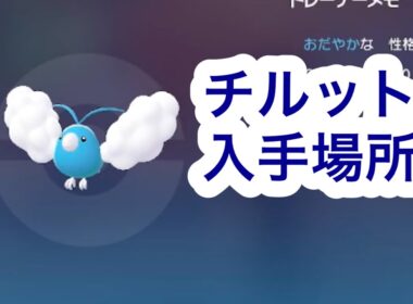 【ポケモンZA】チルット入手場所