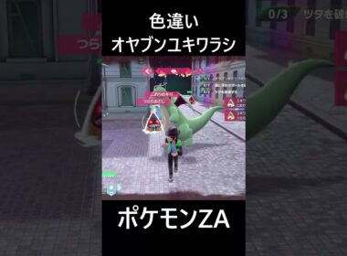 色違いオヤブンユキワラシ ポケモンレジェンズZA M次元ラッシュ Pokémon LEGENDS Z-A Mega Dimension #shorts #ポケモン