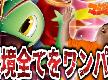 【ポケカ/対戦】高耐久&青天井のメガメガニウムが今環境で大躍進!?【VSメガルカリオ/ドラパルト】