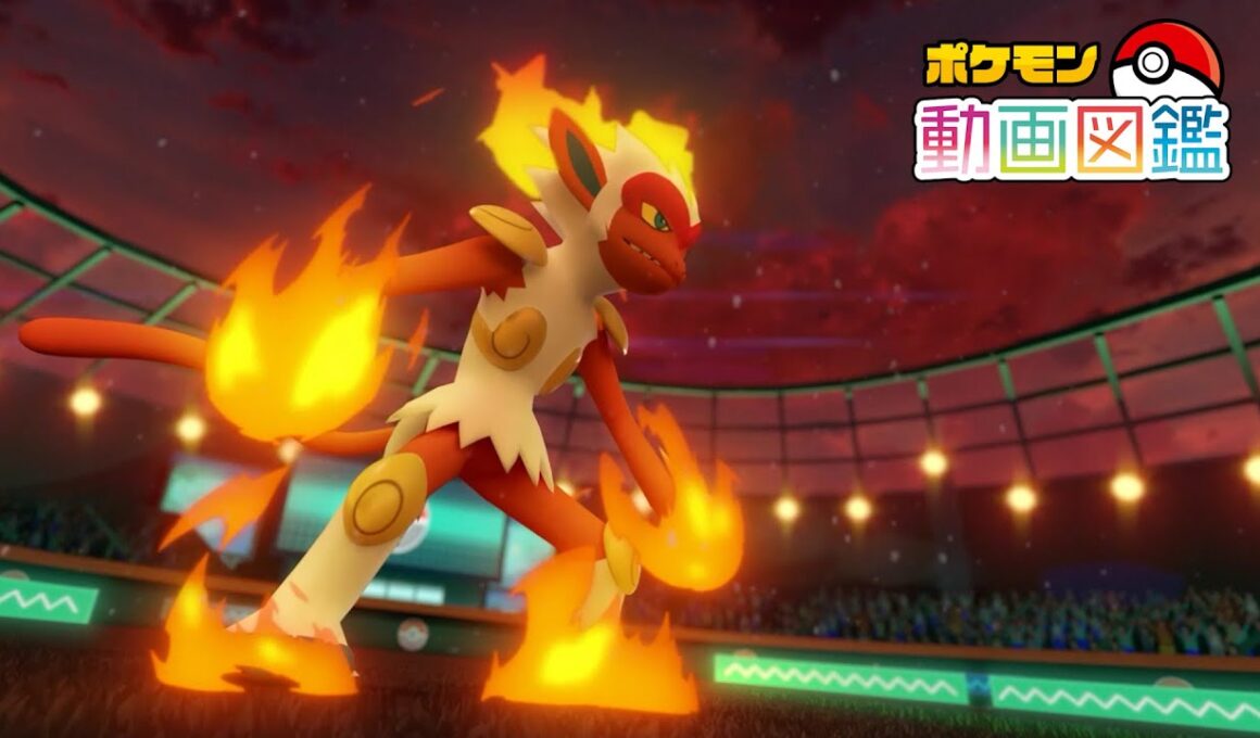 【公式】「ポケモン動画図鑑」No.0392 ゴウカザル