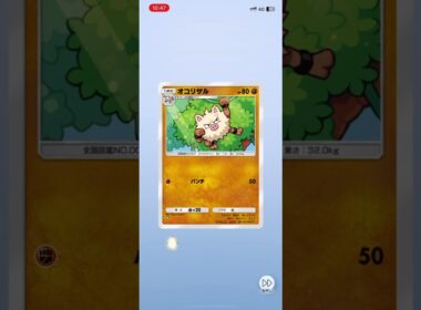 幻のいる島　ペラップ#ポケポケ