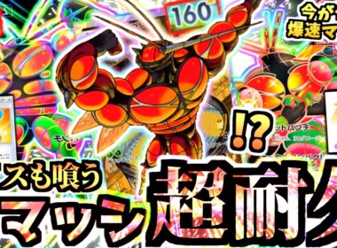 サザンドラ＆メガアブソルをメタる”２種のマッシブーンデッキ”が当たり付きアイスの回復でランクマを破壊！このデッキ好きすぎる【ポケポケ/Pokémon Trading Card Game Pocket】