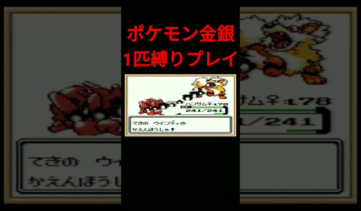 【ポケモン金銀】ポケモン金銀1匹縛りプレイ!!ハッサムver【縛りプレイ】#ポケモン金銀 #縛りプレイ #ハッサム #ゲーム実況