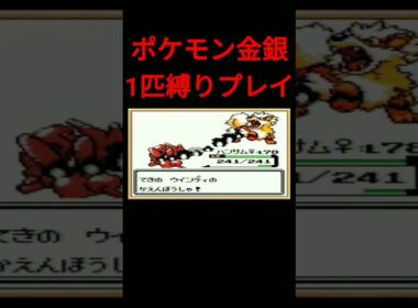 【ポケモン金銀】ポケモン金銀1匹縛りプレイ!!ハッサムver【縛りプレイ】#ポケモン金銀 #縛りプレイ #ハッサム #ゲーム実況