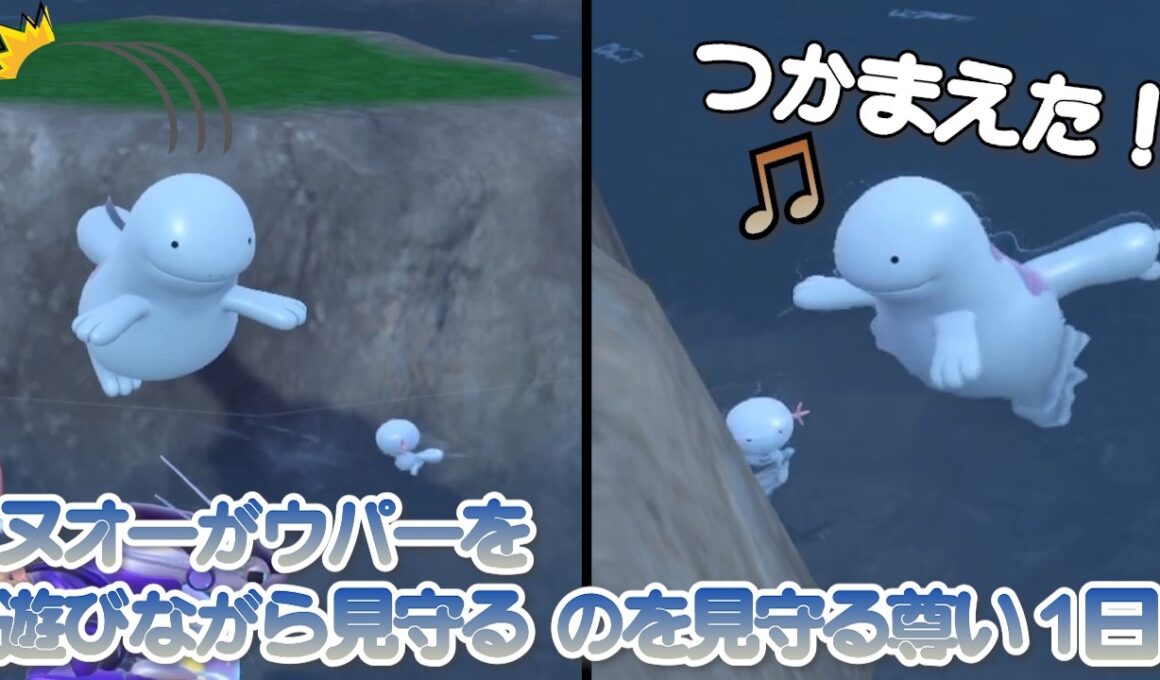 ヌオーがウパーを遊びながら見守る、のを見守る尊い1日【ポケモンSV】