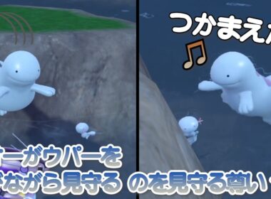 ヌオーがウパーを遊びながら見守る、のを見守る尊い1日【ポケモンSV】