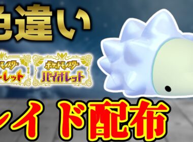 【もち族】 色ユキハミ 色レイド配布 shiny raid 【ポケモンSV】#参加型配信