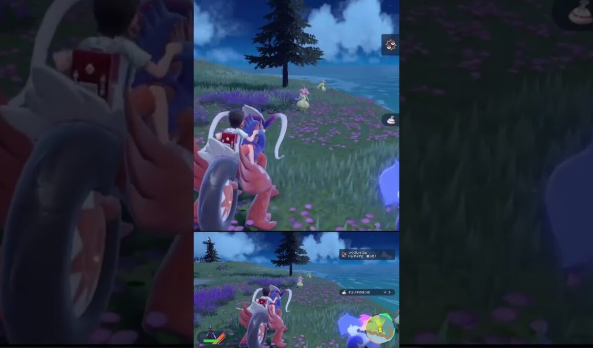 素材集め の邪魔をしないでくれ 色違い ドレディア #shorts #ポケモンsv #碧の仮面 #碧の円盤