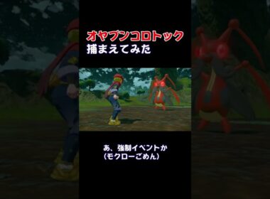 オヤブンコロトック１発で捕まえてみた(テロップVer)#Shorts